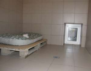 ��������� ��� ��������, ���������� ����� - ����������