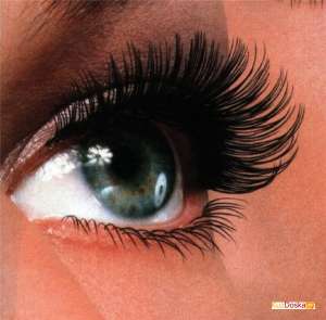 ��������� ��� ����������� ������