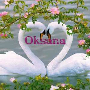 ��������� ���� � ���������. - ����������