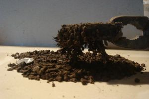 ��������� ���� � ��������� - ������ - ����������