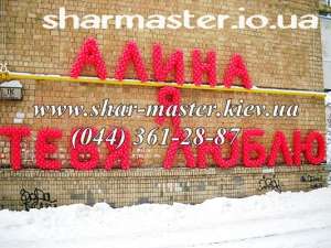 ��������� ���� �� ���� ���������, 23 �������, 8 ����� ����, ������ � ������. - ����������