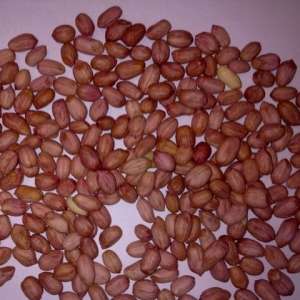 ��������� �����