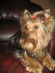 ��������� ����� ������������ ������� ��������� �������