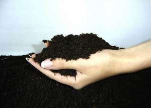 ��������� ����� "�������������"