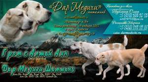 ��������� ����� ��������������� ������� - ����������