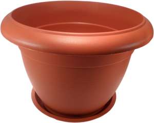 ��������� ������ �����