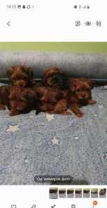 ��������� ����-�� ������ ��� �������� � ����� ����� - ����������