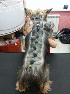 ��������� ������ ������� ����� � �����