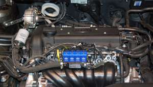 ���������, ������, ��������� ��� 2-��, 4-�� ��������� �� ��� ���� ���� - ����������