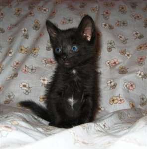 ��������� ������ ����������, ������� ��� � ������ ����! - ����������