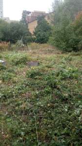 ��������� ������� 18 ����� (10 + 8 �����). - ����������