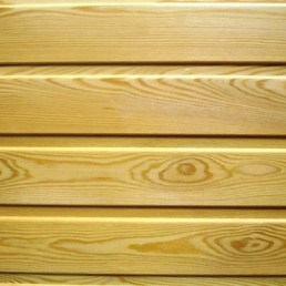 ����,�����, �������