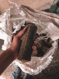 ��������� �������