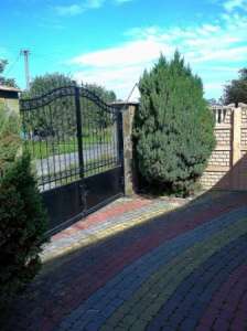 ��������� ������� ���� �������� ���. - ����������