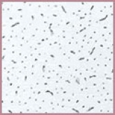 ��������� ������� ���������(Armstrong) ����.���� (044)221-35-80 (044)361-55-44 - ����������