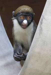 ��������� ��������