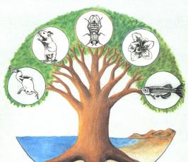 ��������� �������� - ����������