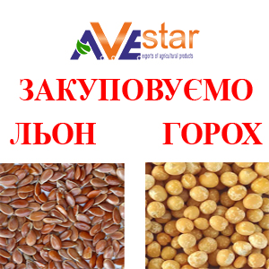 ��������� �������� ��������: ���� � 3000 �, ����� ������ � 2000 �. - ����������