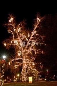 ��������� ��������, ���������� ���������� ������� ����, ����������� ������� ������� �����, ��������� - ����������