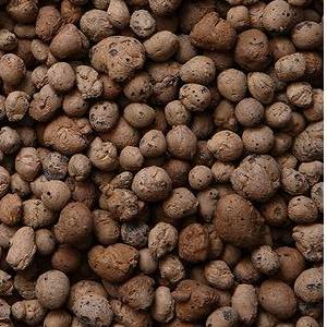 ��������� ��������� �� ������� ���� - ����������