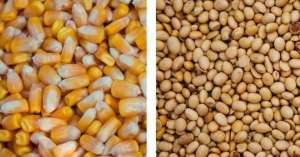 ��������� ��������� ����, ������������, ��������� �� - ����������