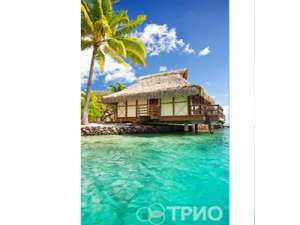 ��������� ��������� ������������! - ����������