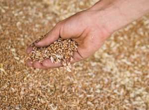 ��������� �����������