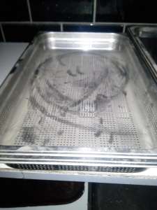 ��������� ������������� GN - ����������