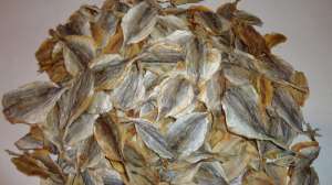 ��������� ������-�������� - ����������