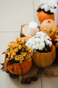 ��������� �����,����������