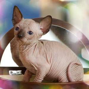 ��������� ��������������� � ��������� ��������