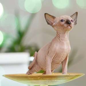 ��������� ��������������� � ��������� ��������