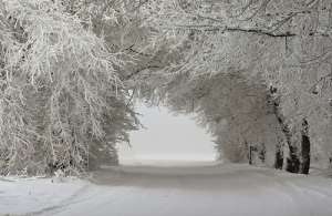 ��������� �������������,������ ������� �������