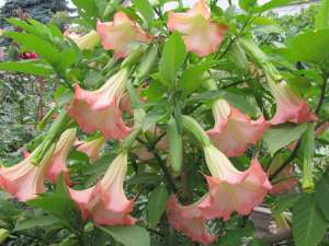 ����������