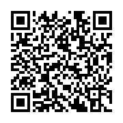 ���������� Python (500W-36V) ���������