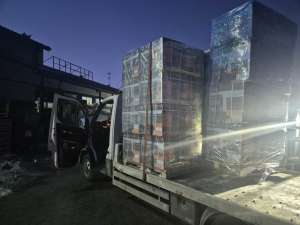 ���������� �� 400 ������ ������ � �������