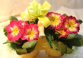 ���������� �� ������, ������������� ������� �� 8 �����, ������� � �������, 8 ����� ����� �����������, ����� � ��������, ���� - ����������