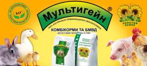 ���������� �� "����������", "������� �����", "��� ������" � ������������ � ���� ���/��� - ����������