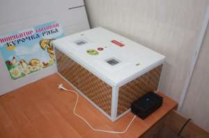 ���������� ��� ����� ����, ���� ������ ���������� ���� ���� ������.