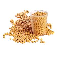 ���������� ���. ������ � ����-��� ����� - ����������