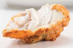 ���������� ��� ��������� 1600CE TEMP-N-TIME Solid State Broaster