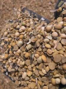 ���������� ��� (���������) �� ���������