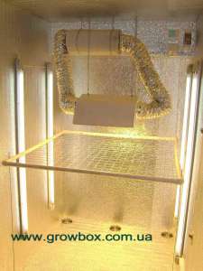 ���������� ��� ���������� � ����������