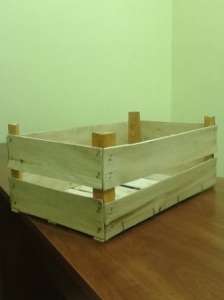 ���������� ����