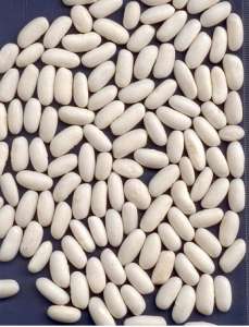 ���������� ���� ����� ��� ������� �����. - ����������