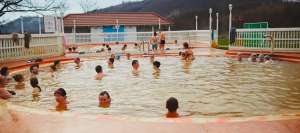 ���������� ����. ���������� ����������. ��� �� �������� 2016 - ����������