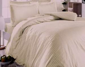 ���������� ����� First Choice - ����������