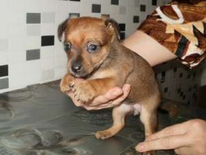 ���-������� �����