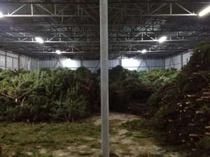 ���������� ����� ���� ����� � ��������� - ����������