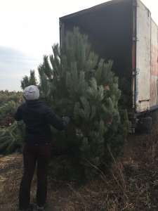 ���������� ����� ������ ����� - ����������